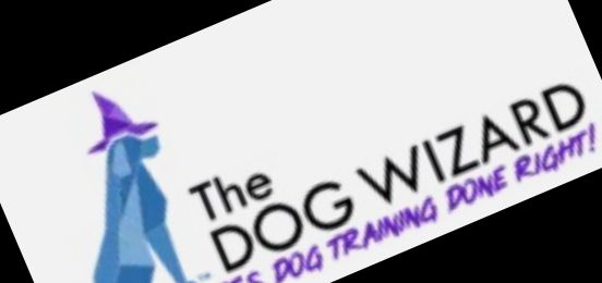 I have recently introduced my clients to a dog training business model that is simple to operate.
